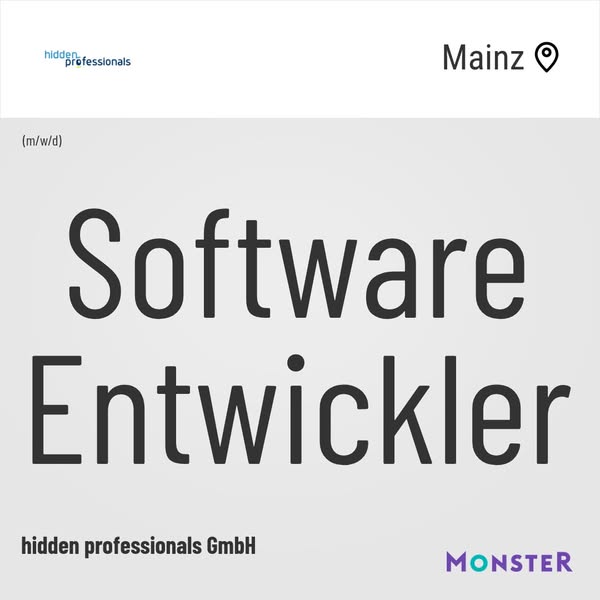 Software Entwickler